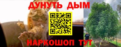 соль ск Краснодар