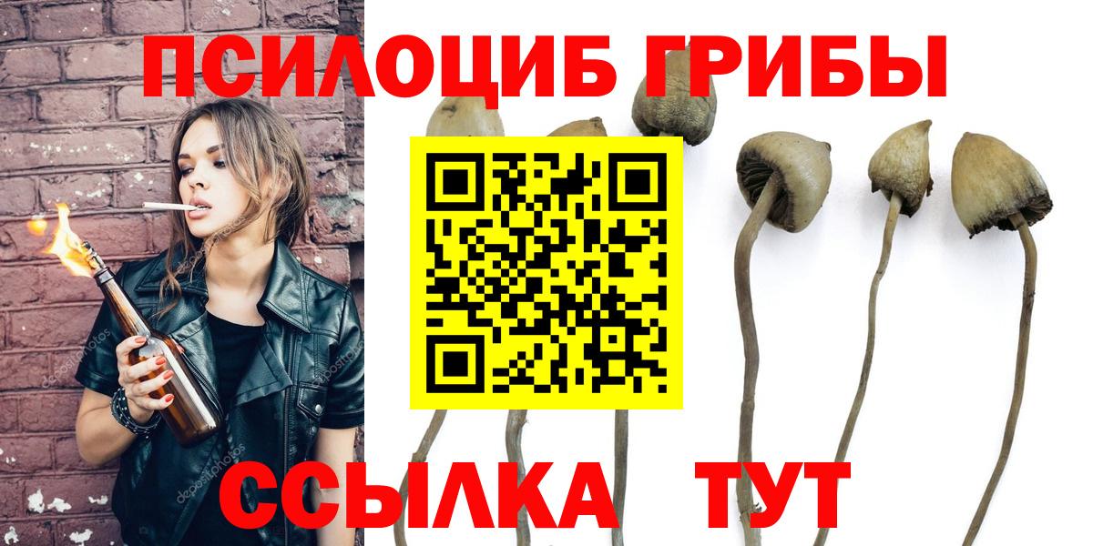Псилоцибиновые грибы Magic Shrooms  Вход с VPN  Псилоцибиновые грибы прущие грибы  Верхний Уфалей 